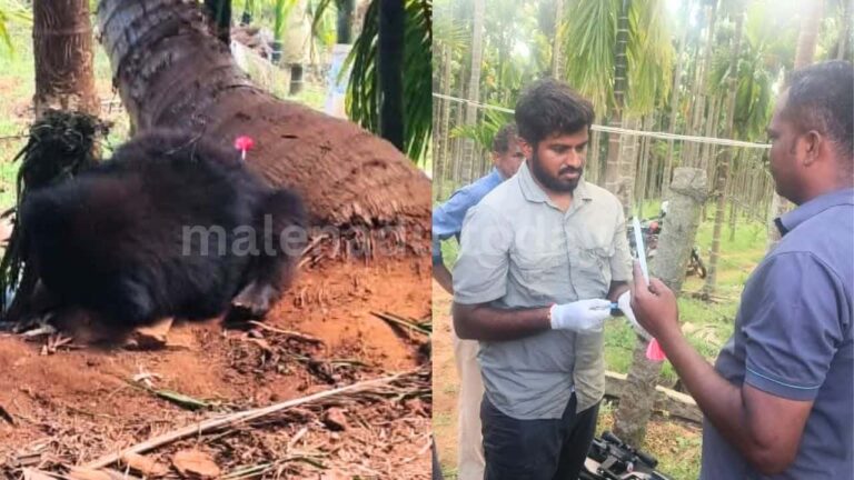 Bhadravathi Forest Division