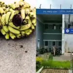 Shivamogga Jail Banana Stalk Smuggling Busted