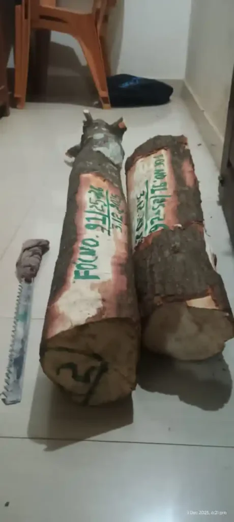 ಅಕೇಶಿಯಾ ಕಡಿಯುವ ನೆಪದಲ್ಲಿ ಬಂದು ಶ್ರೀಗಂಧಕ್ಕೆ ಕೊಡಲಿ ಏಟು! ಕದ್ದು ಸಾಗಿಸುವ ಹೊತ್ತಲ್ಲಿ ಆಘಾತ! 4 Sandalwood Smuggler Arrested in Sagar