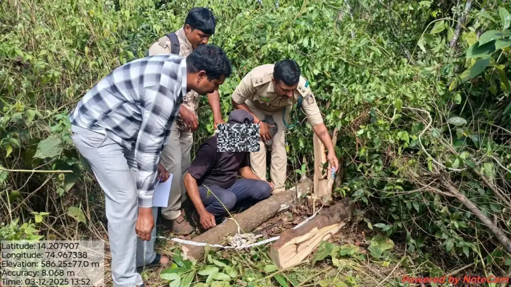 ಅಕೇಶಿಯಾ ಕಡಿಯುವ ನೆಪದಲ್ಲಿ ಬಂದು ಶ್ರೀಗಂಧಕ್ಕೆ ಕೊಡಲಿ ಏಟು! ಕದ್ದು ಸಾಗಿಸುವ ಹೊತ್ತಲ್ಲಿ ಆಘಾತ! 3 Sandalwood Smuggler Arrested in Sagar