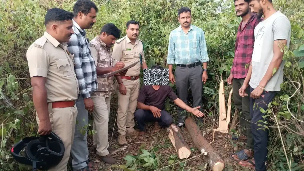 ಅಕೇಶಿಯಾ ಕಡಿಯುವ ನೆಪದಲ್ಲಿ ಬಂದು ಶ್ರೀಗಂಧಕ್ಕೆ ಕೊಡಲಿ ಏಟು! ಕದ್ದು ಸಾಗಿಸುವ ಹೊತ್ತಲ್ಲಿ ಆಘಾತ! 6 Sandalwood Smuggler Arrested in Sagar