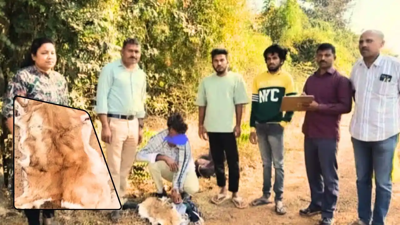 ಪಕ್ಕಾ ಇನ್ಫಾರ್ಮೇಶನ್ ನೊಂದಿಗೆ ರೇಡ್! ಫಾರೆಸ್ಟ್ ಮಾಲಿನ ಜೊತೆ ಸಿಕ್ಕಿಬಿದ್ದ ಆರೋಪಿ 1 Deer Skin Sale Attempt file One Arrested in Anandapura Police Patrol Operation