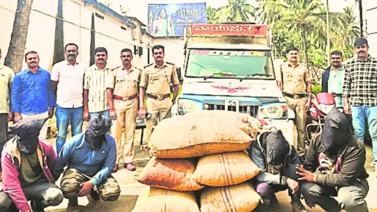 ನರಸಿಂಹರಾಜಪುರದಲ್ಲಿ ಅಡಿಕೆ ದರೋಡೆ ಪ್ರಕರಣ ಭೇದಿಸಿದ ಪೊಲೀಸರು: ನಾಲ್ವರು ಆರೋಪಿಗಳ ಬಂಧನ  Arecanut Robbery Case Solved in Narasimharajapura 4 Suspects Arrested by Police