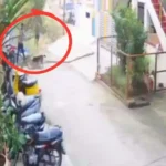 ಬೀದಿ ನಾಯಿಯನ್ನು ಕ್ರೂರವಾಗಿ ಹೊಡೆದು ಸಾಯಿಸಿದ ಸಿಸಿಟಿವಿ ದೃಶ್ಯ ವೈರಲ್ಪ್ರ ಕರಣ ದಾಖಲು Shivamogga: Group of Pig Catchers Cruelly Kills Street Dog, Case Filed Based on CCTV Footage