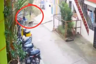 ಬೀದಿ ನಾಯಿಯನ್ನು ಕ್ರೂರವಾಗಿ ಹೊಡೆದು ಸಾಯಿಸಿದ ಸಿಸಿಟಿವಿ ದೃಶ್ಯ ವೈರಲ್ಪ್ರ ಕರಣ ದಾಖಲು Shivamogga: Group of Pig Catchers Cruelly Kills Street Dog, Case Filed Based on CCTV Footage