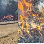 Hanging Power Line Burns Paddy Load in Shivamoga