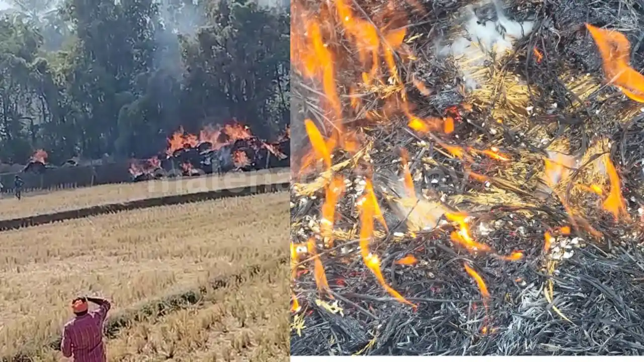 Hanging Power Line Burns Paddy Load in Shivamoga