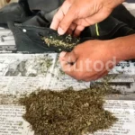 Drug Smuggling Bid Foiled at Shivamogga Central Jail