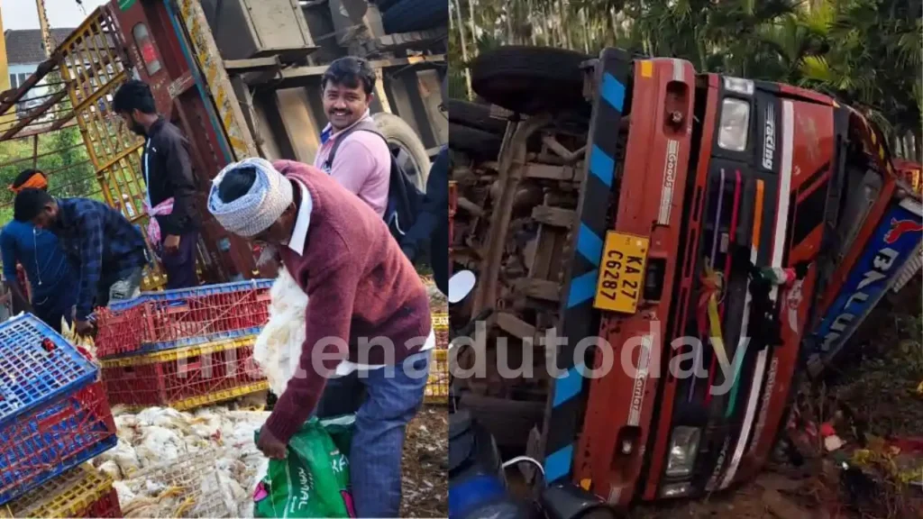 Chicken Transport Lorry Overturns Near Bhadravathi