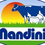 SHIMUL Recruitment 2025 Apply Online for Jobs