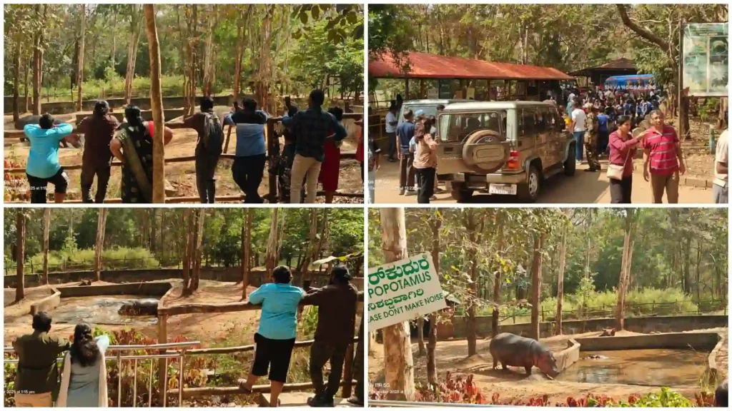 Heavy Tourist Inflow to Jog Falls & Tyavarekoppa