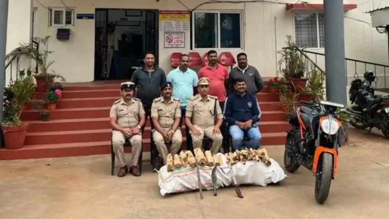 Chikkamagaluru Sandalwood Theft Case