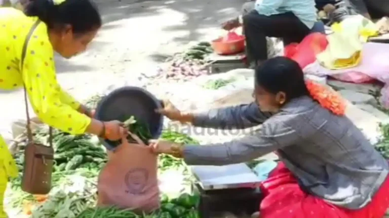 ಶಿವಮೊಗ್ಗ, ಟೊಮೆಟೊ ಬೆಲೆ ಇಳಿಕೆ - Shivamogga APMC Rates Shivamogga APMC Market Vegetable Prices List Today