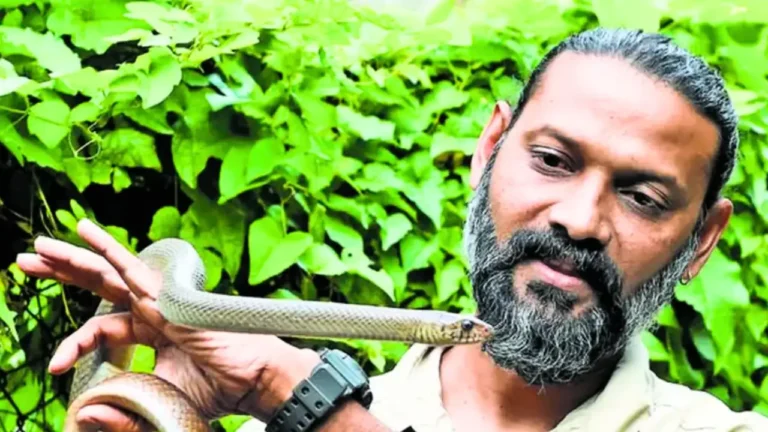 Court Bans Defamatory Content Against Gauri Shankar