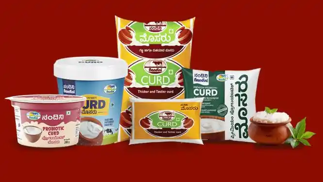 1 ಕೆಜಿ ನಂದಿನಿ ಬಕೆಟ್ ಮೊಸರು ಮಾರುಕಟ್ಟೆಗೆ, ಫಸ್ಟ್​ ಟೈಂ ಆಫರ್​ 10 ರೂಪಾಯಿ ಡಿಸ್ಕೌಂಟ್!