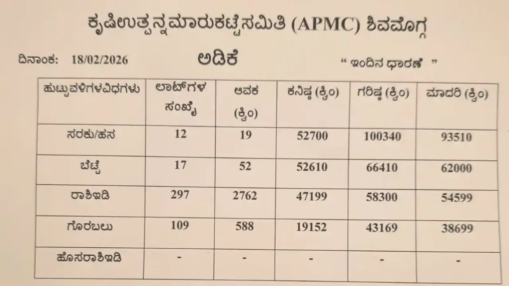 Shimoga Arecanut Rate Today 19 February 2026 Adike Price Hike ಶಿವಮೊಗ್ಗ ಮಾರುಕಟ್ಟೆ ಯಲ್ಲಿ ಅಡಿಕೆ ದರ ಜಿಗಿತ! ಹಸ ಅಡಿಕೆಗೆ ಲಕ್ಷದ ಗಡಿ ಮೀರಿದ ಬೆಲೆ ಸಿಕ್ಕಿದ್ದು, ರಾಶಿ ಮತ್ತು ಬೆಟ್ಟೆ ದರಗಳ ಸಂಪೂರ್ಣ ಮಾಹಿತಿ ಇಲ್ಲಿದೆ