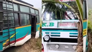 Shivmogga Private Bus Plunges into Areca Garden