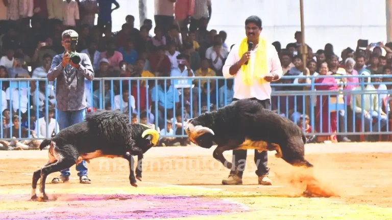 National Level Tagaru Kalaga in Shivamogga 
