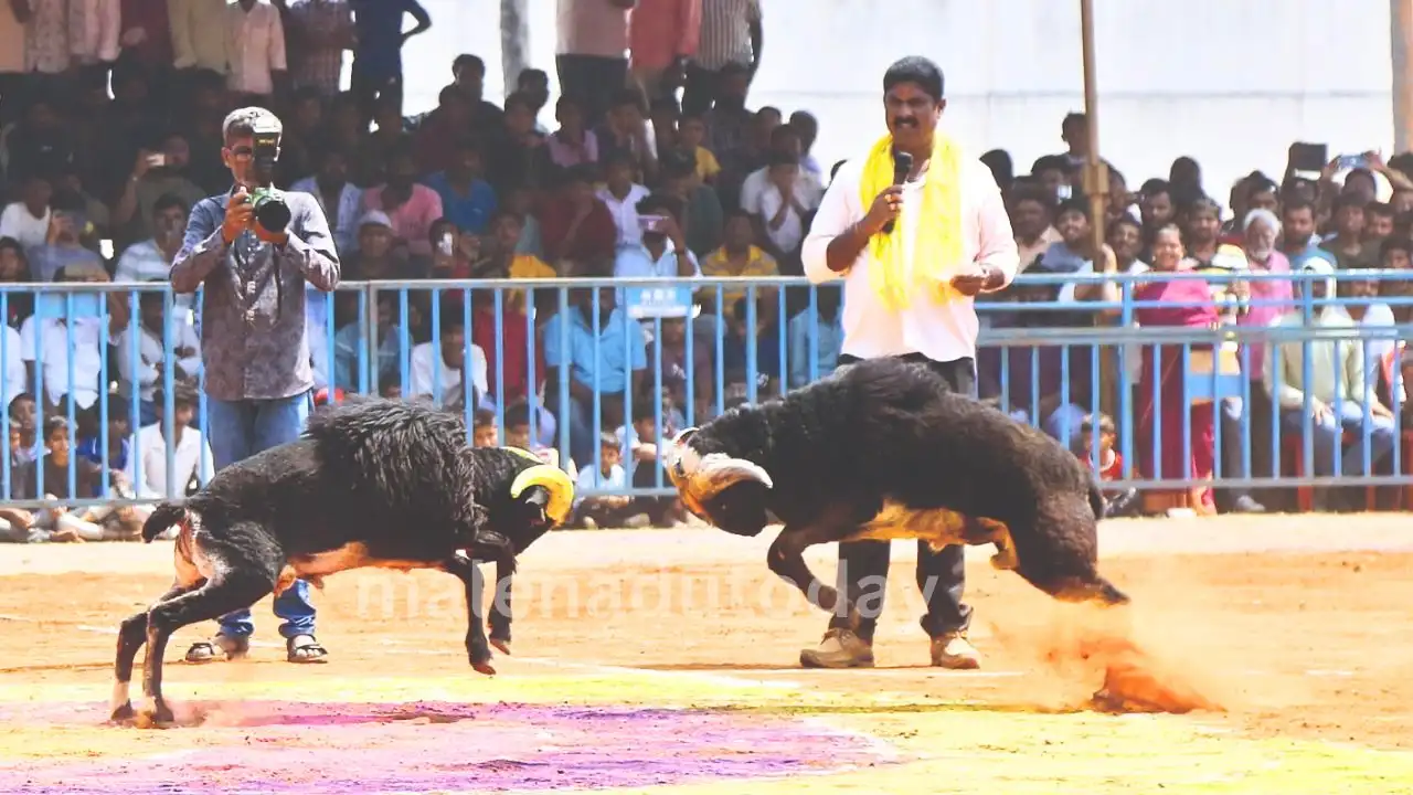 National Level Tagaru Kalaga in Shivamogga 