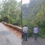 Huge Tree Falls on Agumbe Ghat Traffic Jam on Thirthahalli-Udupi Road vehicular movement completely halted for 30 minutes on the Thirthahalli-Udupi road at the 4th curve of the Agumbe Ghat in Shivamogga district