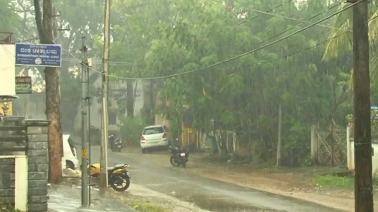 Shivamogga Rainfall Report