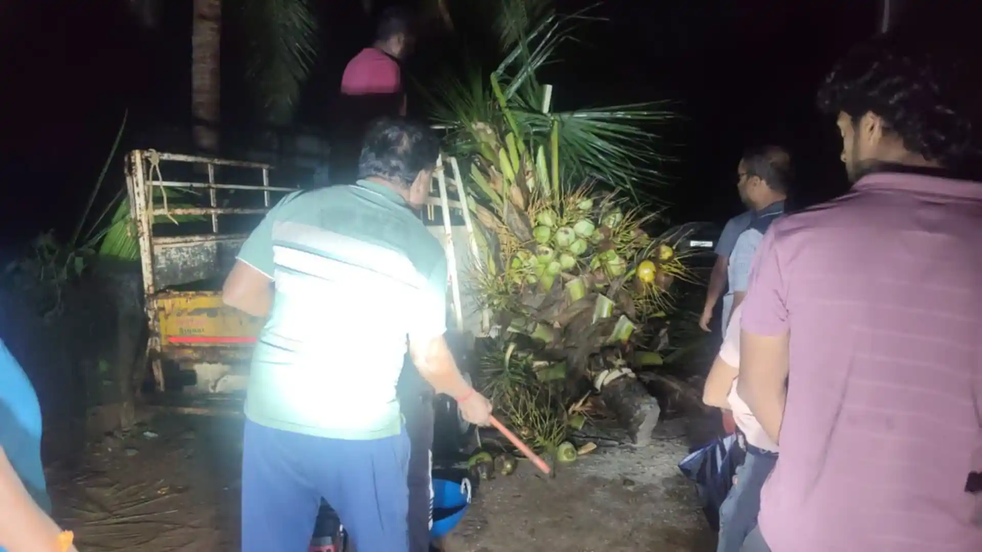 ಟಾಟಾ ಏಸ್ ವಾಹನದ ಮೇಲೆ ಅಪ್ಪಳಿಸಿದ ತೆಂಗಿನಮರ!