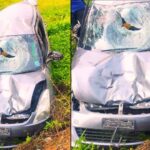 road incident Near Jambaraghatte Pedestrian dead as Speeding Car Loses Control