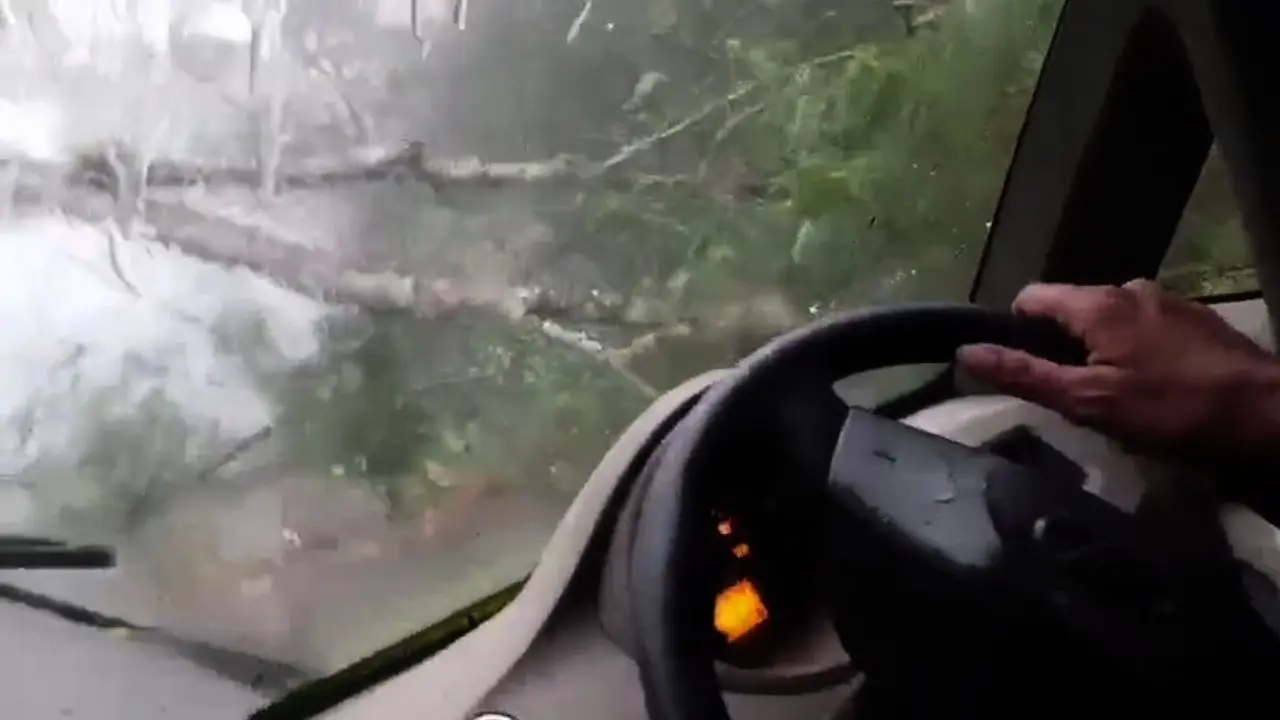 ಮರ ಬೀಳುವ ಮುನ್ನವೇ ಬ್ರೇಕ್ ಹಾಕಿದ ಚಾಲಕ; ನಾಲ್ವರು ಪ್ರಯಾಣಿಕರು ಸೇಫ್. ವಿಡಿಯೋ ನೋಡಿ