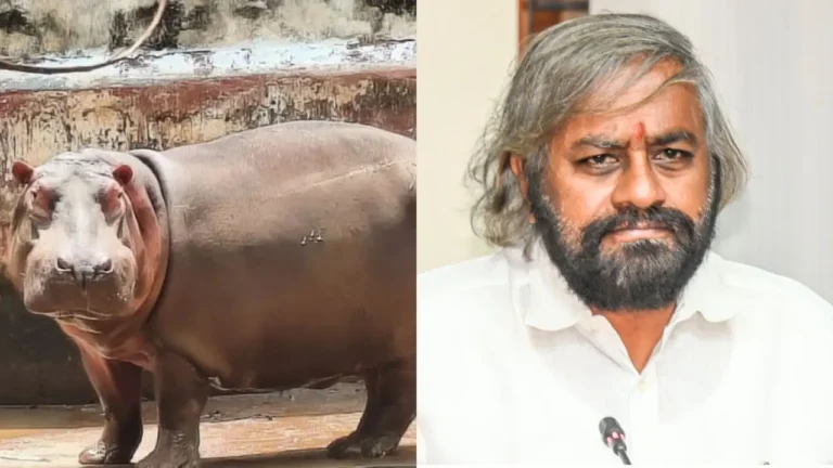 Forest Minister Resign Over Hippo’s Death