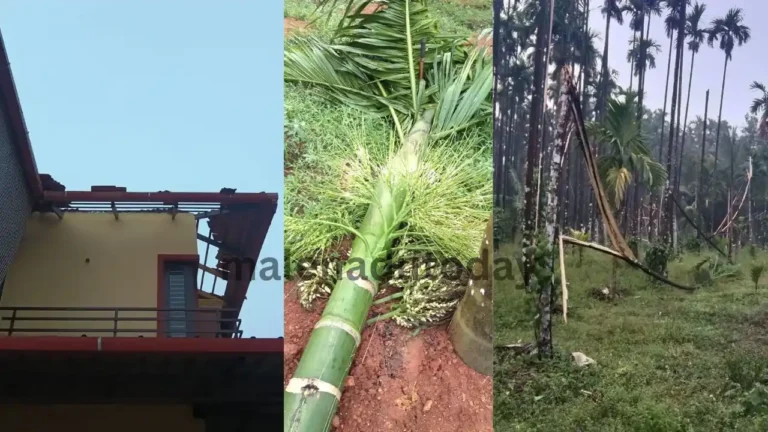 Heavy Rain and Wind Storm Hits Thirthahalli