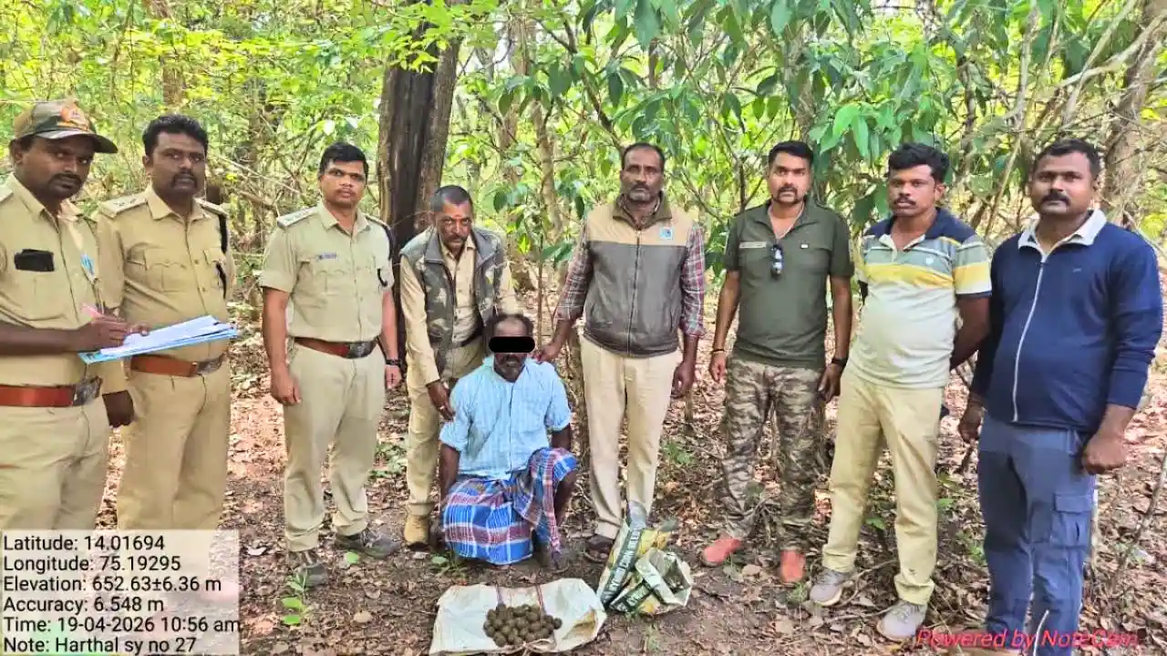 ಅರಣ್ಯ ಇಲಾಖೆ ಭರ್ಜರಿ ಕಾರ್ಯಾಚರಣೆ: 45 ನಾಡಬಾಂಬ್ ವಶ, ಓರ್ವ ಬೇಟೆಗಾರ ಸೆರೆ
