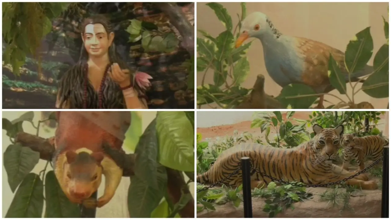 ನಗರದ ಮಧ್ಯೆಯೇ ದಟ್ಟ ಕಾಡಿನ ಅನುಭವ: ಸ್ಮಾರ್ಟ್ ಸಿಟಿ ಶಿವಮೊಗ್ಗದ ಈ ಅದ್ಭುತ ಲೋಕ ನೋಡಿದ್ದೀರಾ?