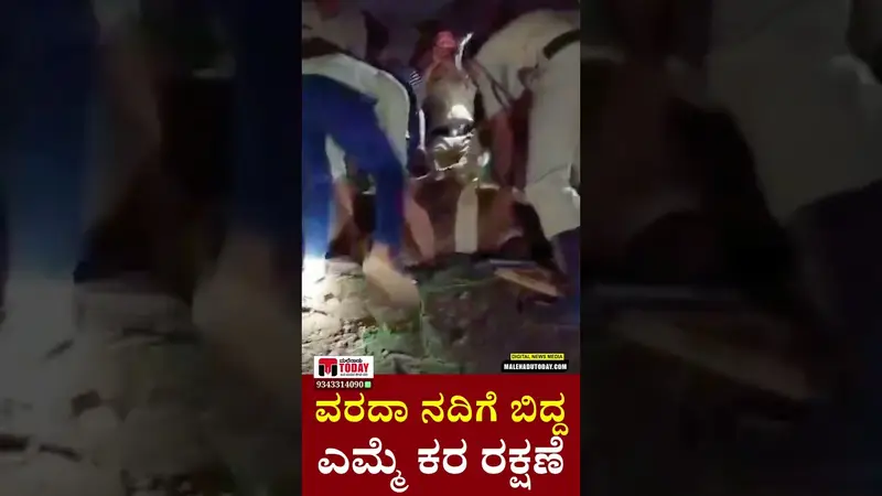 ವರದಾ ನದಿಯಲ್ಲಿ ಜೀವನ್ಮರಣದ ಹೋರಾಟ: ಎಮ್ಮೆಯ ಕರುವನ್ನು ರಕ್ಷಿಸಿದ ಅಗ್ನಿಶಾಮಕ ದಳ! #shivamogga