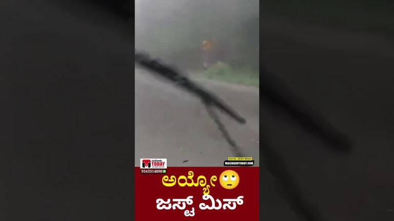 ಜಸ್ಟ್ ಮಿಸ್
