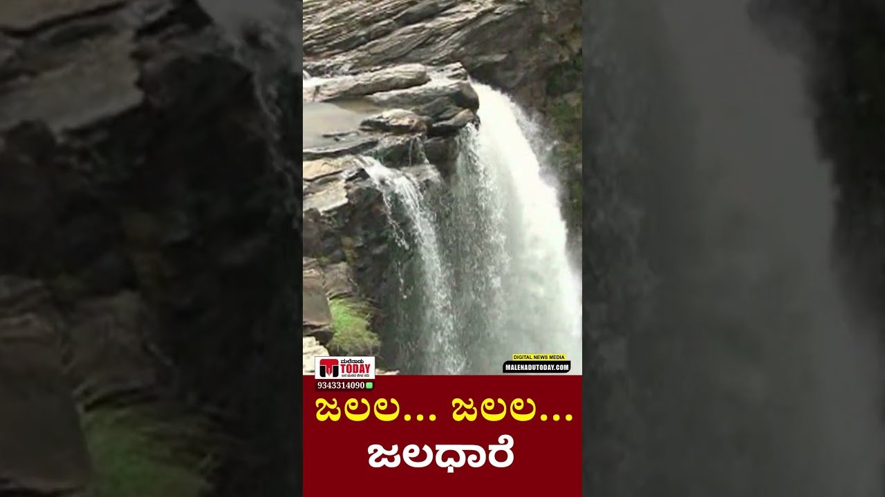 ಶಿವಮೊಗ್ಗದ ವಿಶ್ವವಿಖ್ಯಾತ ಜೋಗ್​​ ಫಾಲ್ಸ್​​ನ ಮನಮೋಹಕ ದೃಶ್ಯ ಕಂಡಿದ್ದು ಈ ರೀತಿ