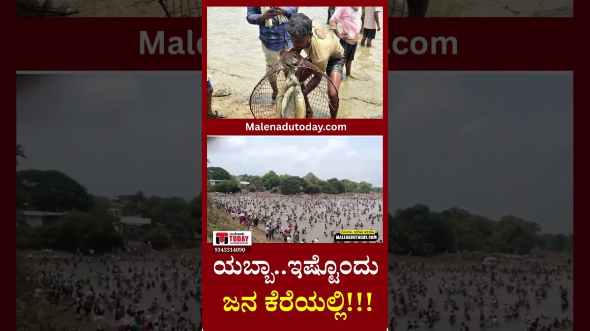 Shivamogga Malenadu Today