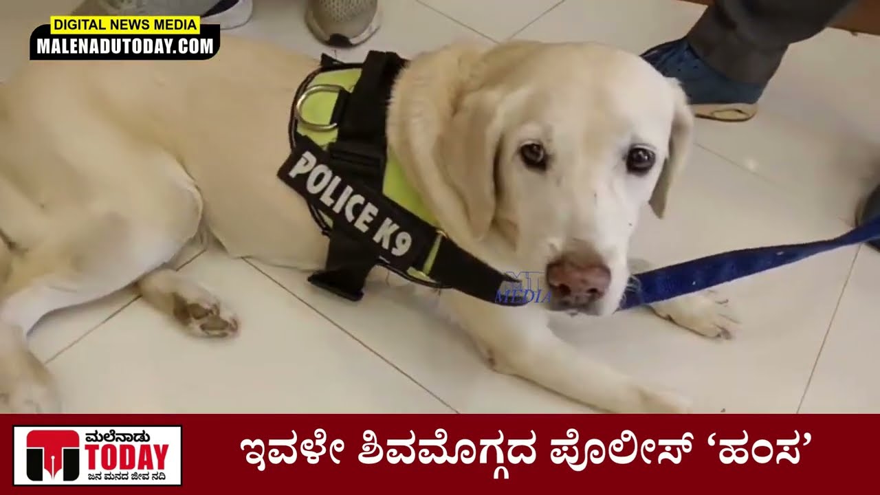 ಶಿವಮೊಗ್ಗ ಪೊಲೀಸ್​ ಹಂಸಾ ಆನ್​ ಡ್ಯೂಟಿ! ಈಕೆ ಕ್ಲಿಯರೆನ್ಸ್ ಕೊಟ್ಟ ಮೇಲೆನೆ ಎಲ್ಲಾ!