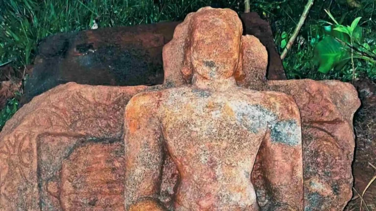 Ancient Jain Tirthankara Idol Found in Gavaturo Village