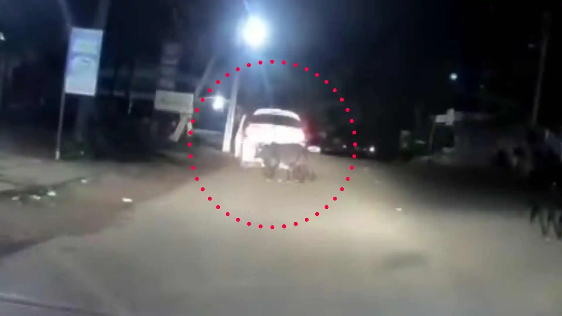 Attempted Cattle Theft at Thirthahalli Gadikal Circle