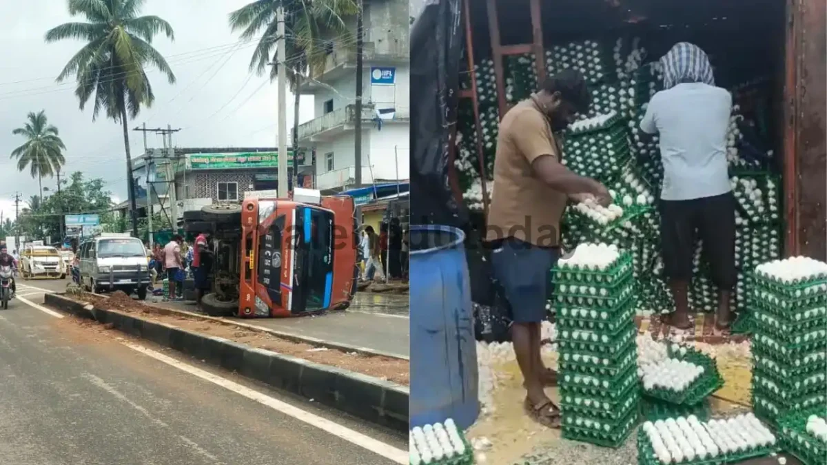 Egg Transport Vehicle Overturns in Ripponpet