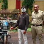 Hosanagara Police Arrest Bhadravati Man for Bike and Temple Theft