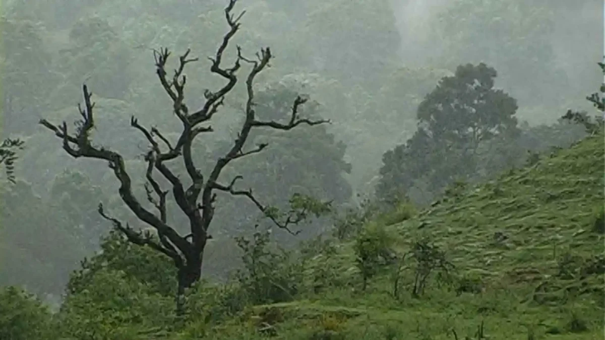 Shivamogga Monsoon Report Karnataka Rain Report Shivamogga Records 81mm Rain,