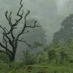 Shivamogga Monsoon Report Karnataka Rain Report Shivamogga Records 81mm Rain,