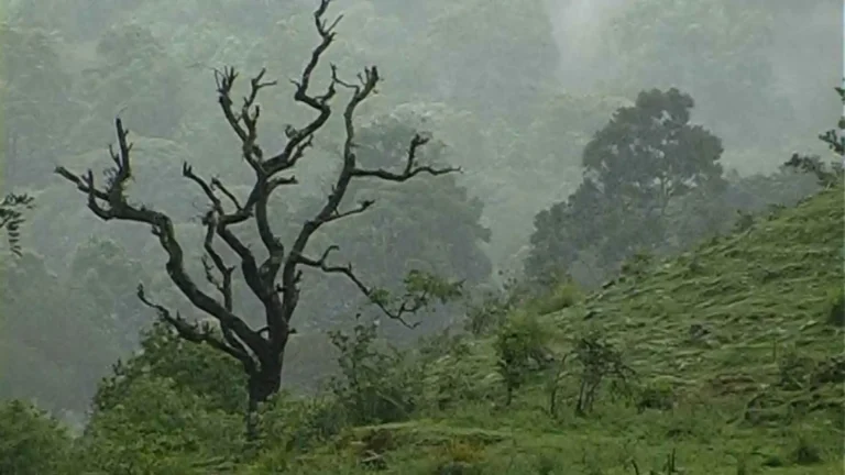 Karnataka Rain Report Shivamogga Records 81mm Rain,