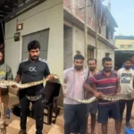 Python Rescued in Holehonnur