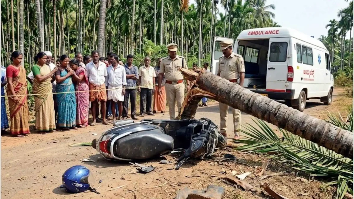 ಸಾವಿಗೆ ಸಾವಿರ ದಾರಿ ಎನ್ನುವುದು ಇದೇನಾ?ಶಿವಮೊಗ್ಗ ಜಿಲ್ಲೆಯಲ್ಲಿ ನಡೆದಿದ್ದು! 1 Worker Dies as Areca Tree Crushes Him in Thirthahalli