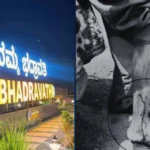 Bhadravati Polling Official Bitten by Dog During Voter List Revision