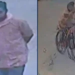 Bicycle Stolen from House