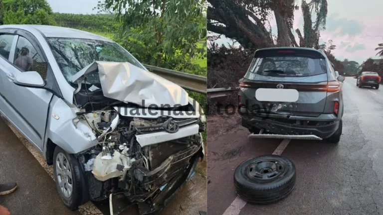 Car Accident i10 Hits Safari Near Bird Sanctuary