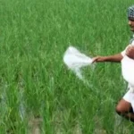 Crop Insurance 2026 Registration Opens